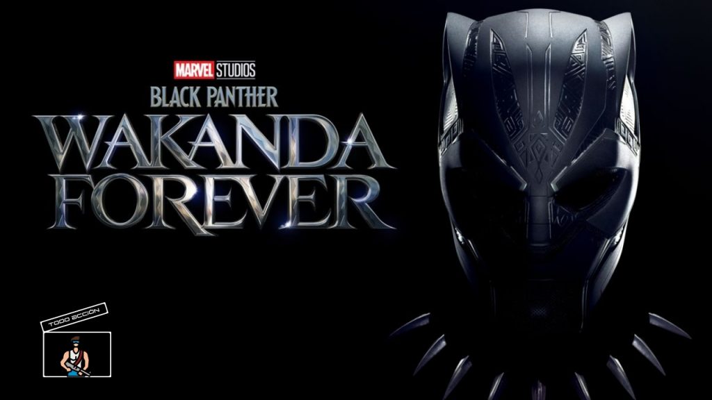 Black Panther Wakanda Forever - Todo Acción